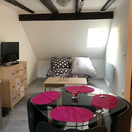 Apartment Duplex Hyper Centre *