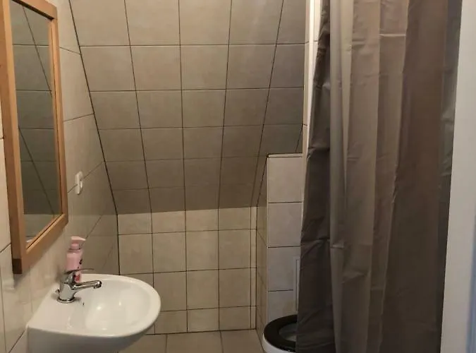 公寓 Duplex Hyper Centre 科尔马